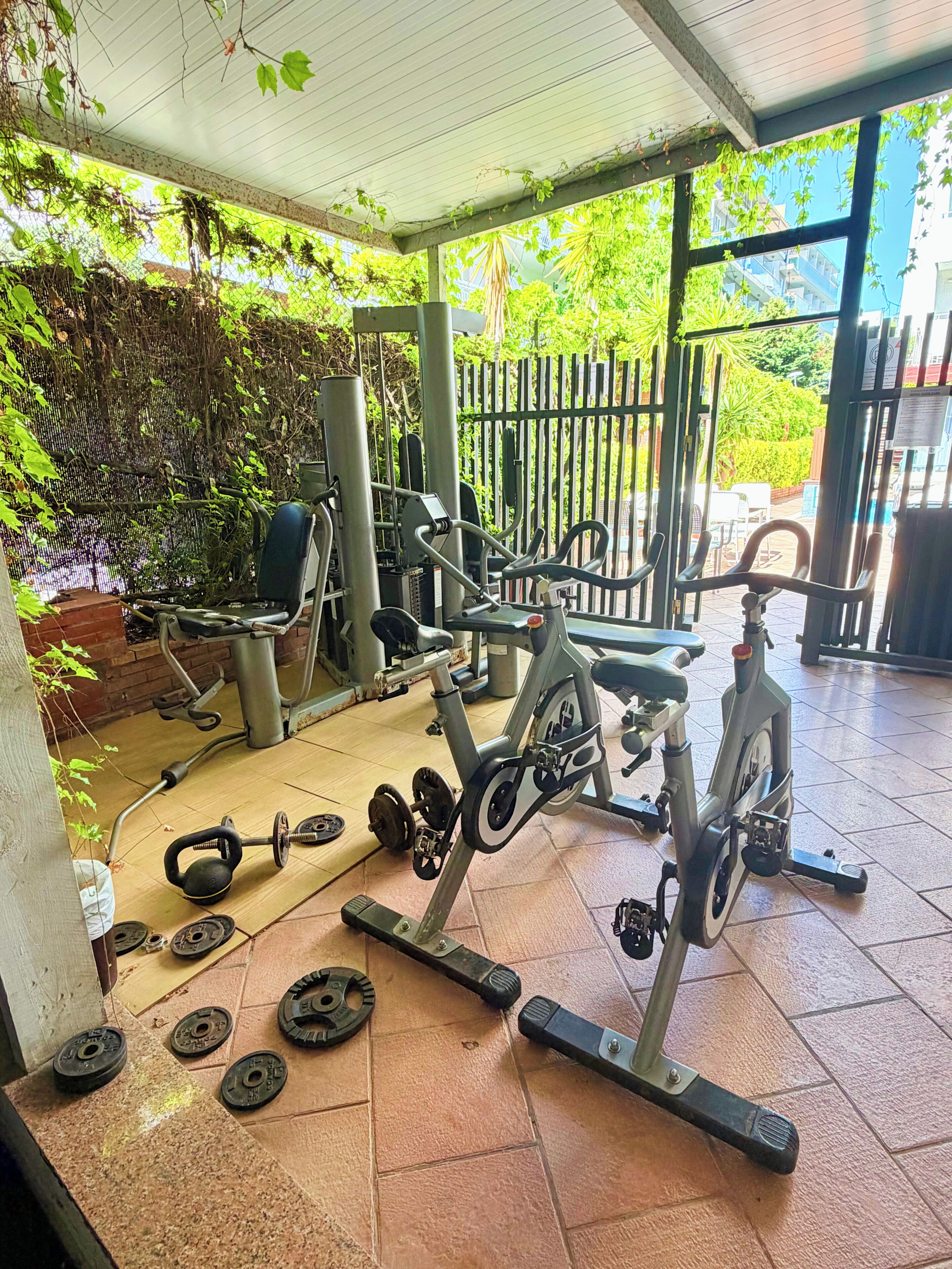 Gimnasium