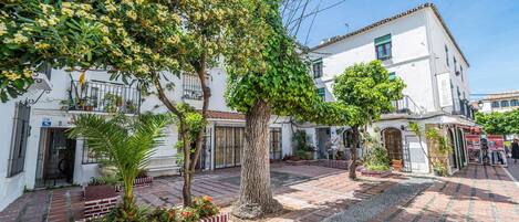 A courtyard with a tiled floor, a large tree, and a white building with a balcony.