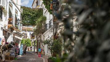 Una calle estrecha flanqueada por edificios, algunos con balcones y plantas colgantes.