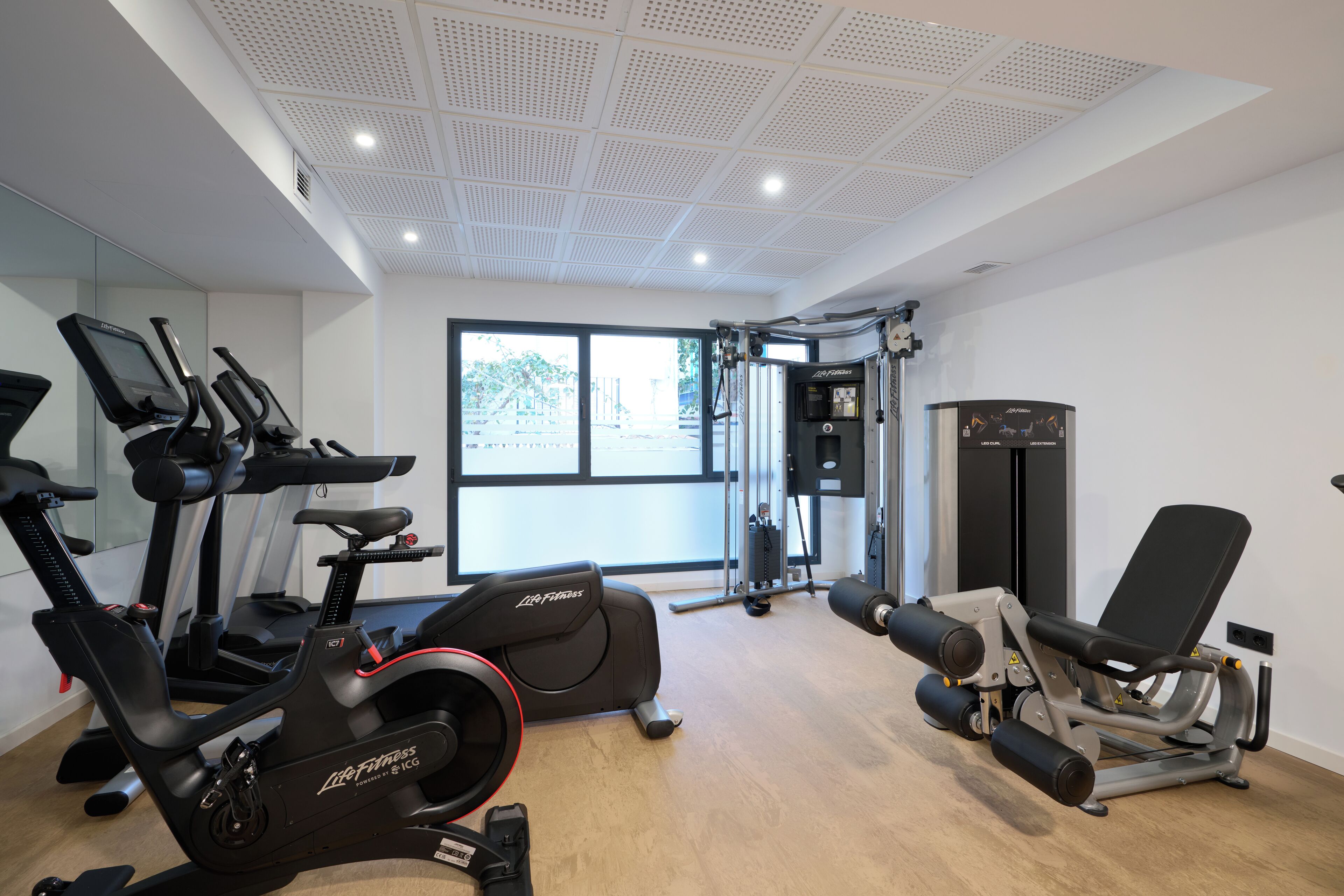 A gym with cardio machines, weightlifting equipment, and a large window providing natural light.