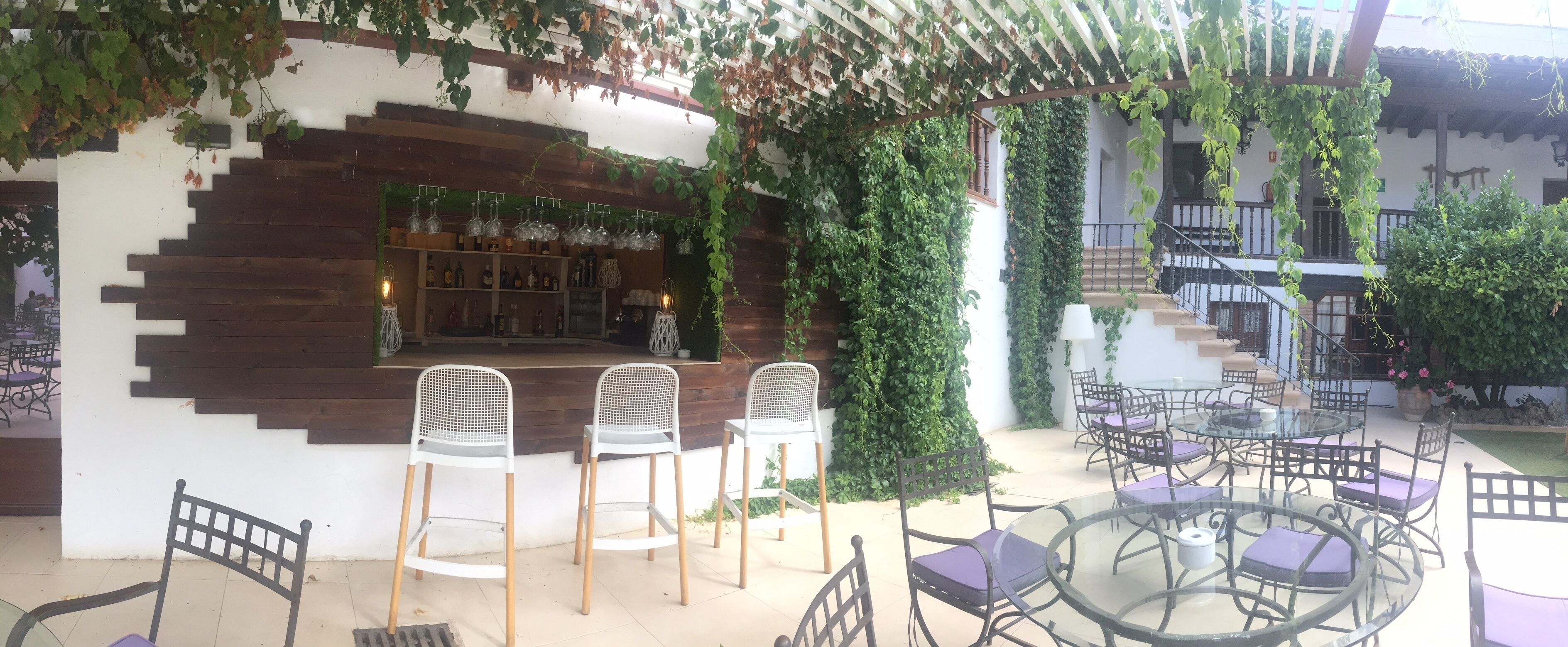 An outdoor seating area with a bar, wooden steps, and greenery.