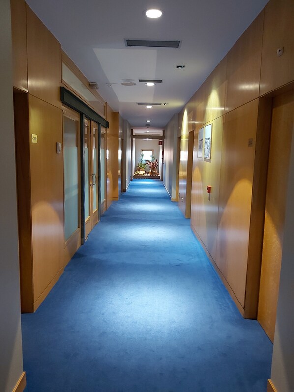 A long, narrow hallway with blue carpeting, wooden paneling on the walls, and a ceiling with recessed lighting. - Ruta Jacobea (Santiago de Compostela)