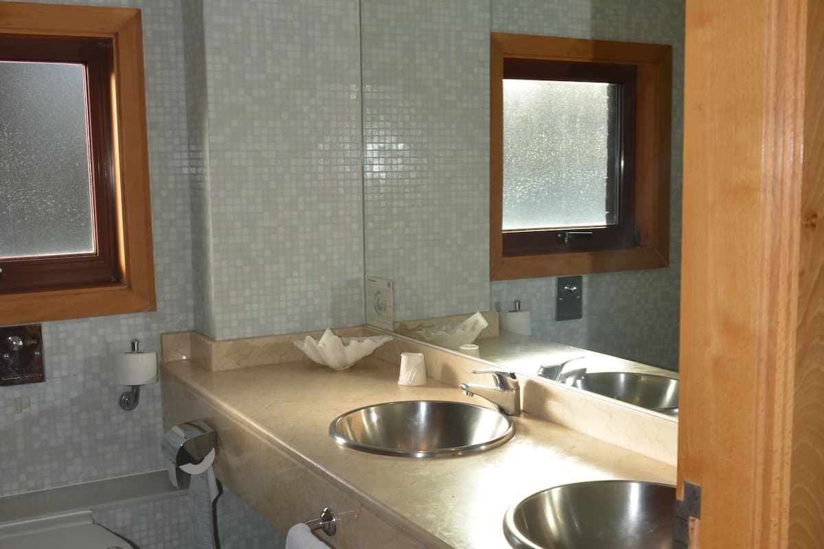 bathtub, free toiletries, hair dryer, towels