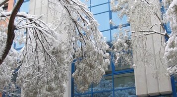 Vistas desde el alojamiento