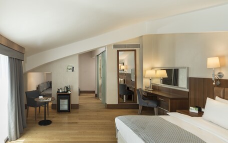 Holiday Inn Istanbul Old City, an IHG Hotel - Image 60