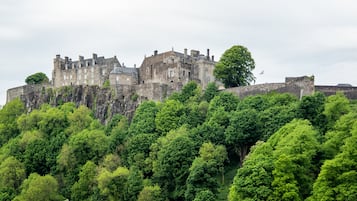 Un castell històric sobre un turó amb un bosc dens.