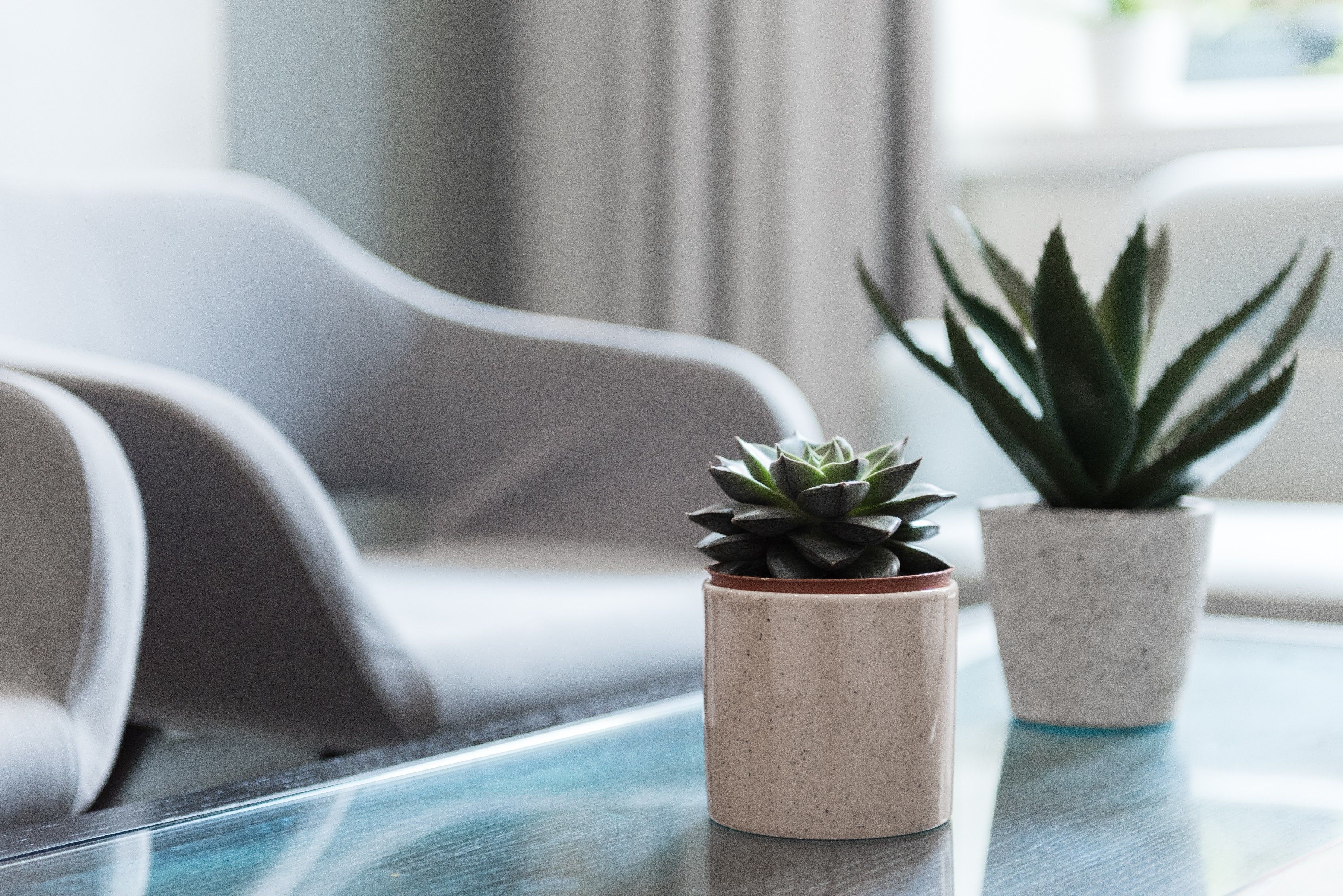 Foto - Blandford Hotel