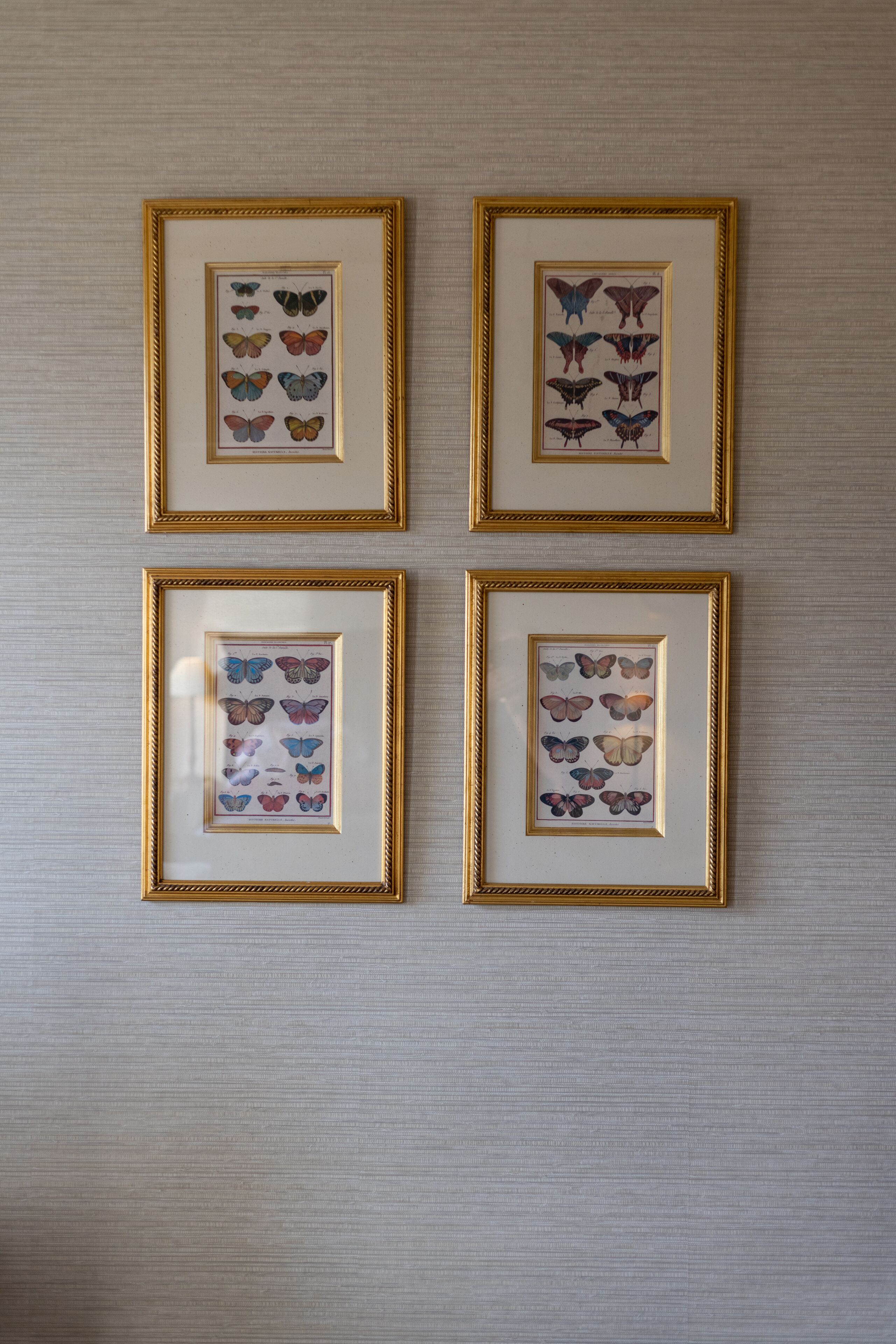 Quatre reproductions d’images de papillons, encadrées, sur un mur à texture.