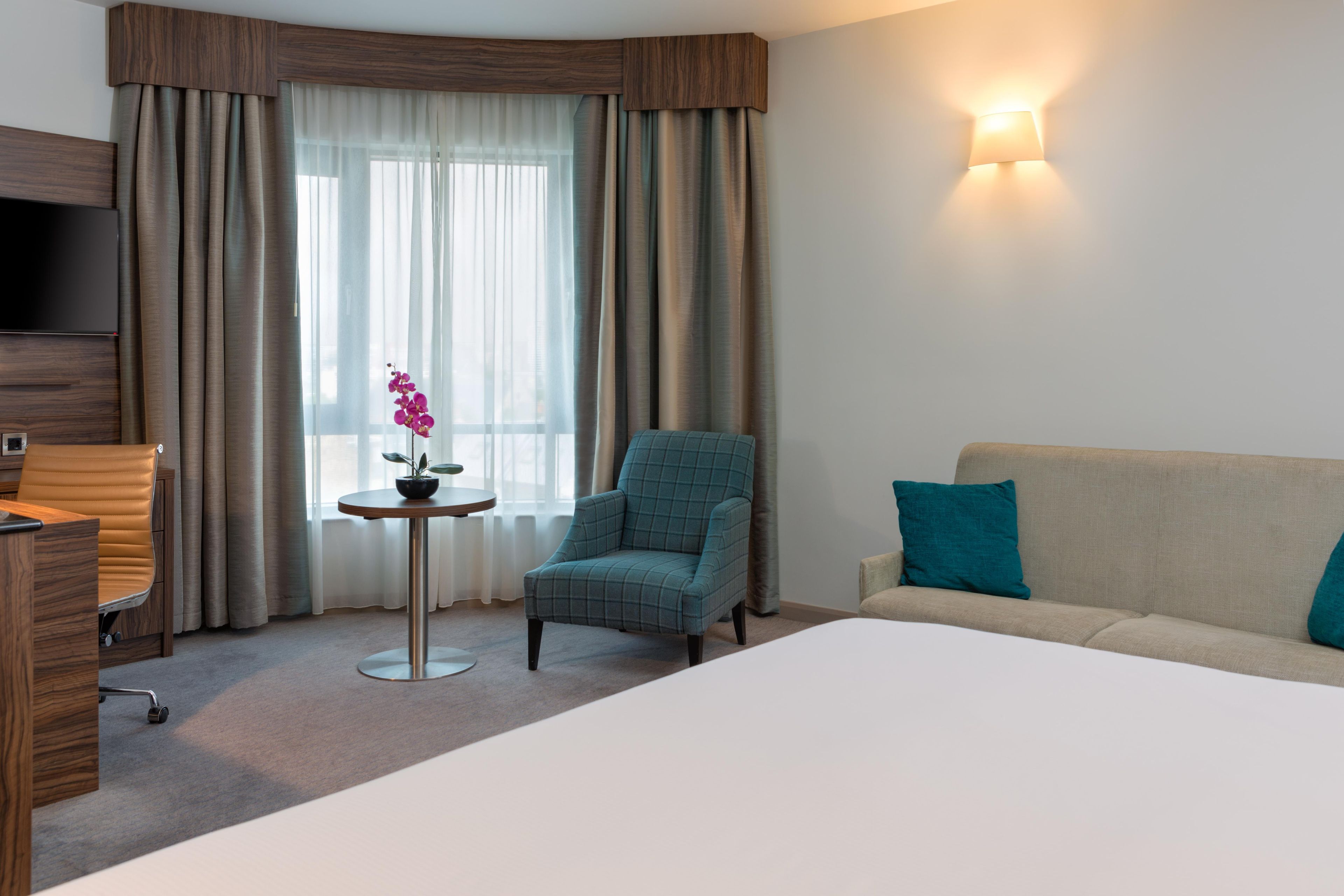 A hotel room with a bed, a sofa, a chair, a small table with a plant, and a TV.