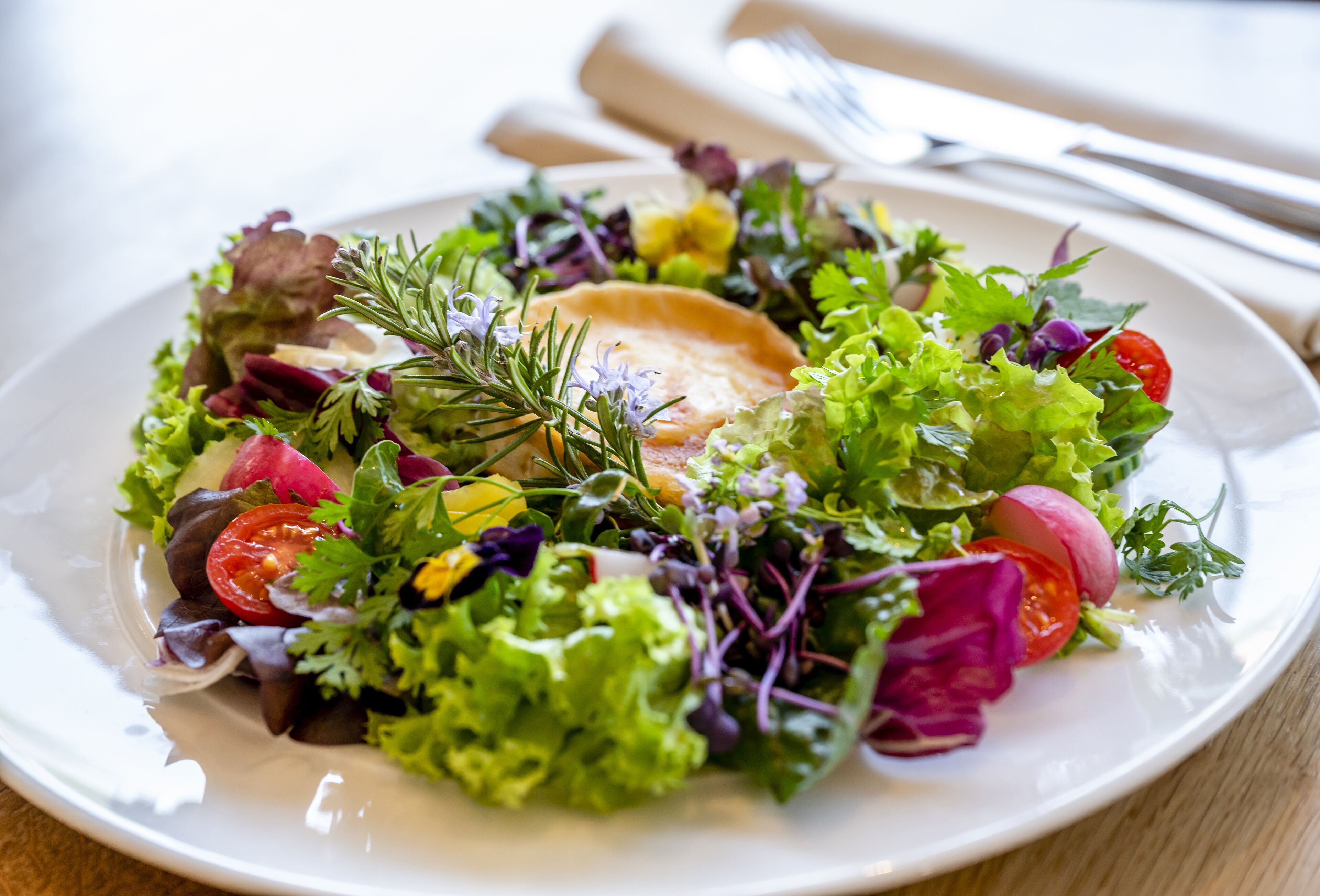 Foto - Insel Hotel Bonn - Superior