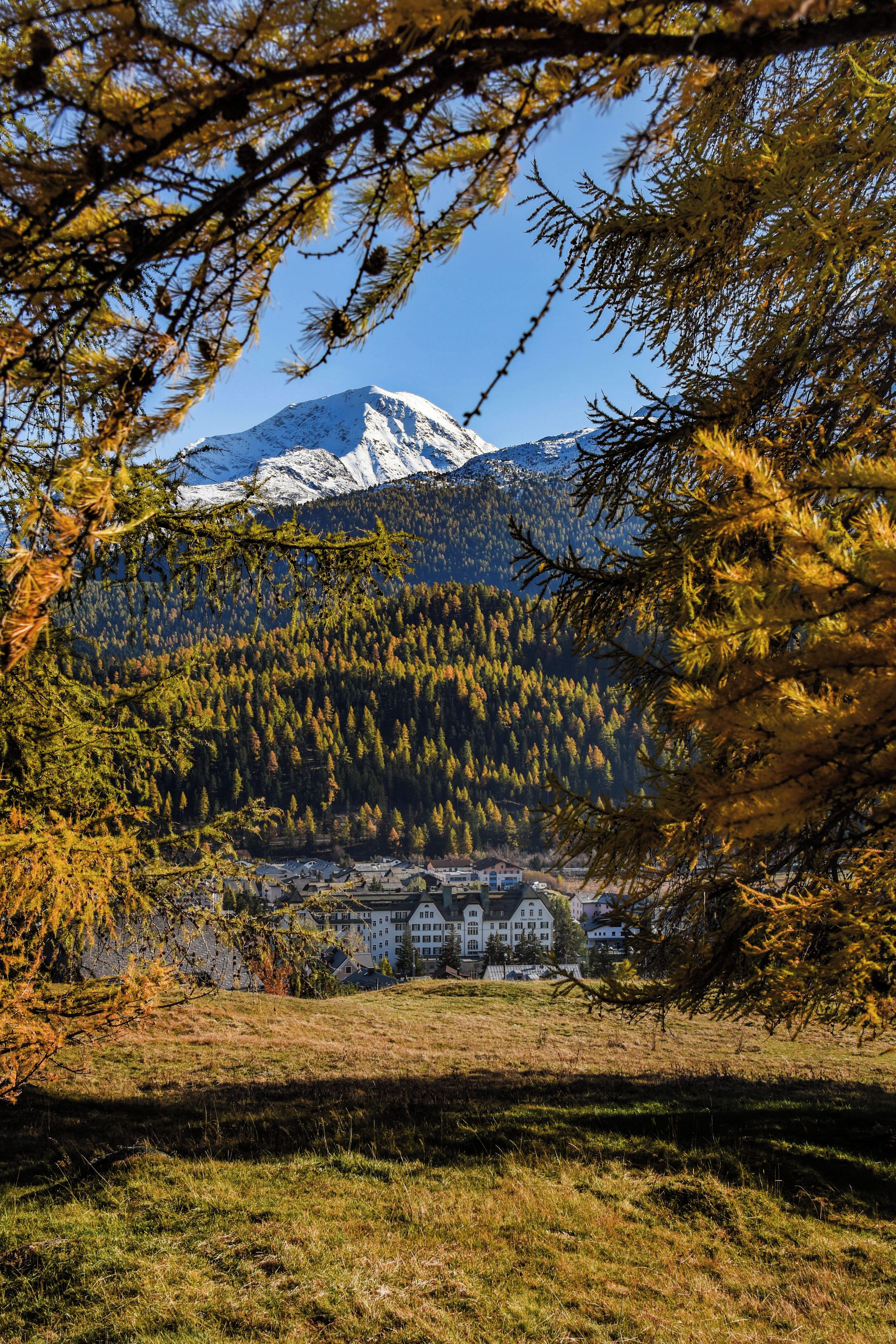 Un paysage de montagne avec un sommet enneigé, une vallée boisée et un ensemble de bâtiments à l’architecture traditionnelle.
