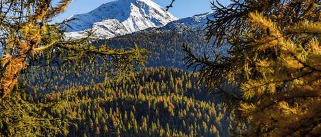Un paysage de montagne avec un sommet enneigé, une vallée boisée et un ensemble de bâtiments à l’architecture traditionnelle.