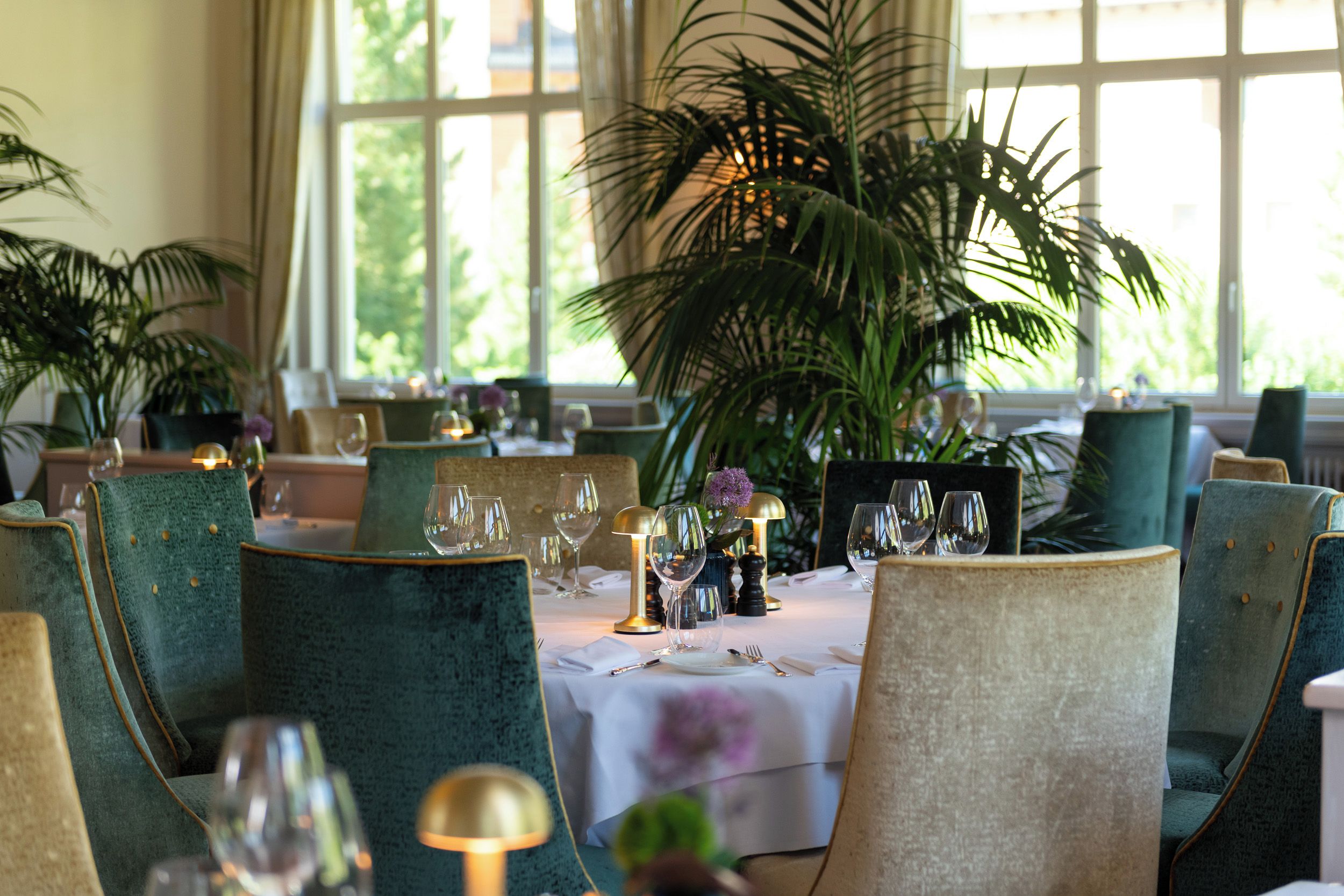 A dining area with round tables, chairs, and a large potted plant.