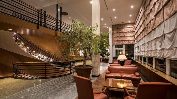 Un vestíbulo moderno con una escalera curva, asientos de cuero y una gran planta en maceta.