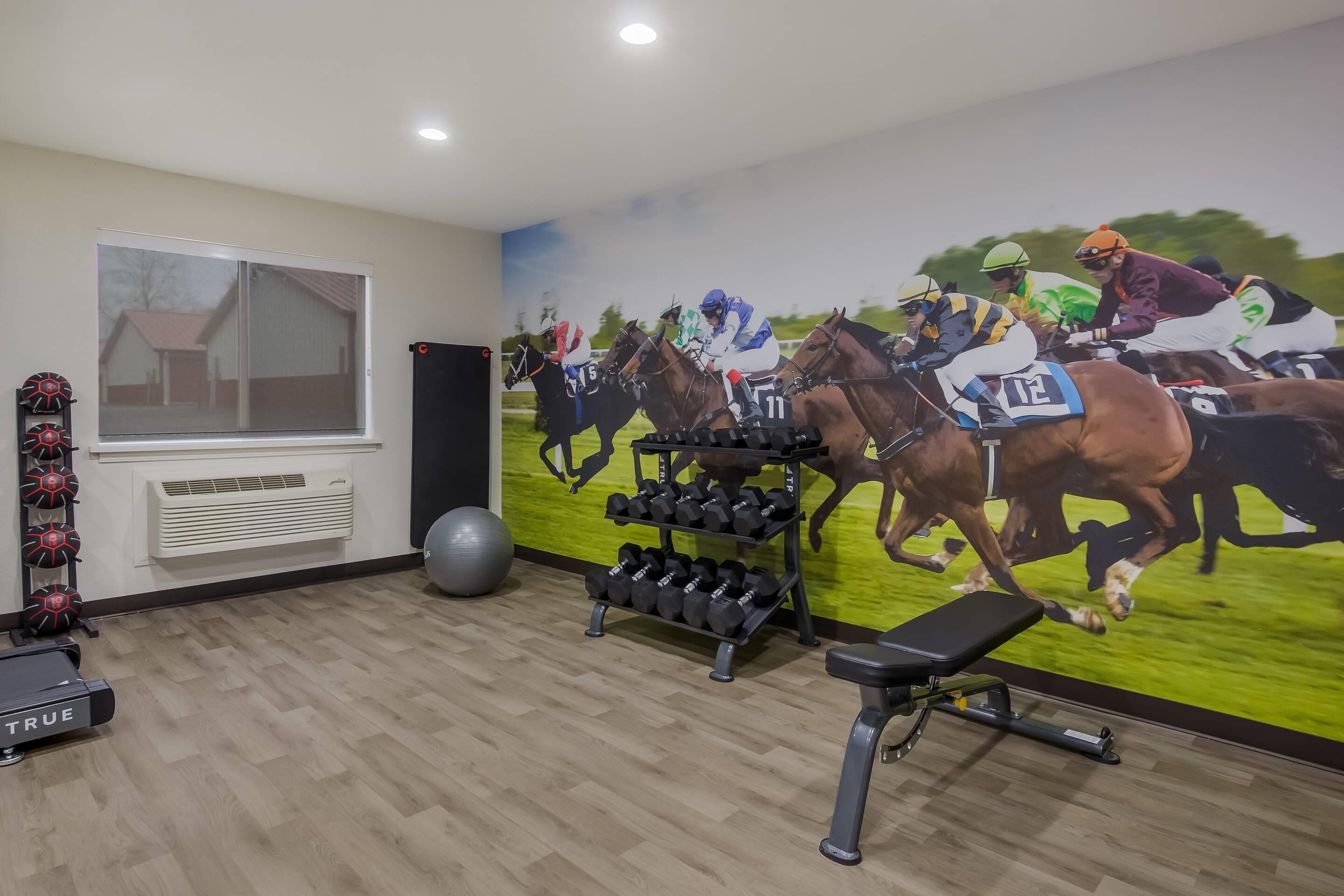 A gym with exercise equipment, a wall mural of horses, a treadmill, and a large window.