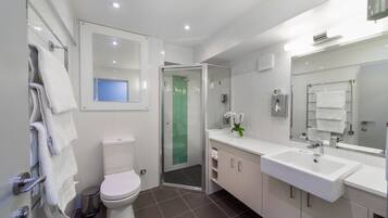 Shower, hair dryer, towels