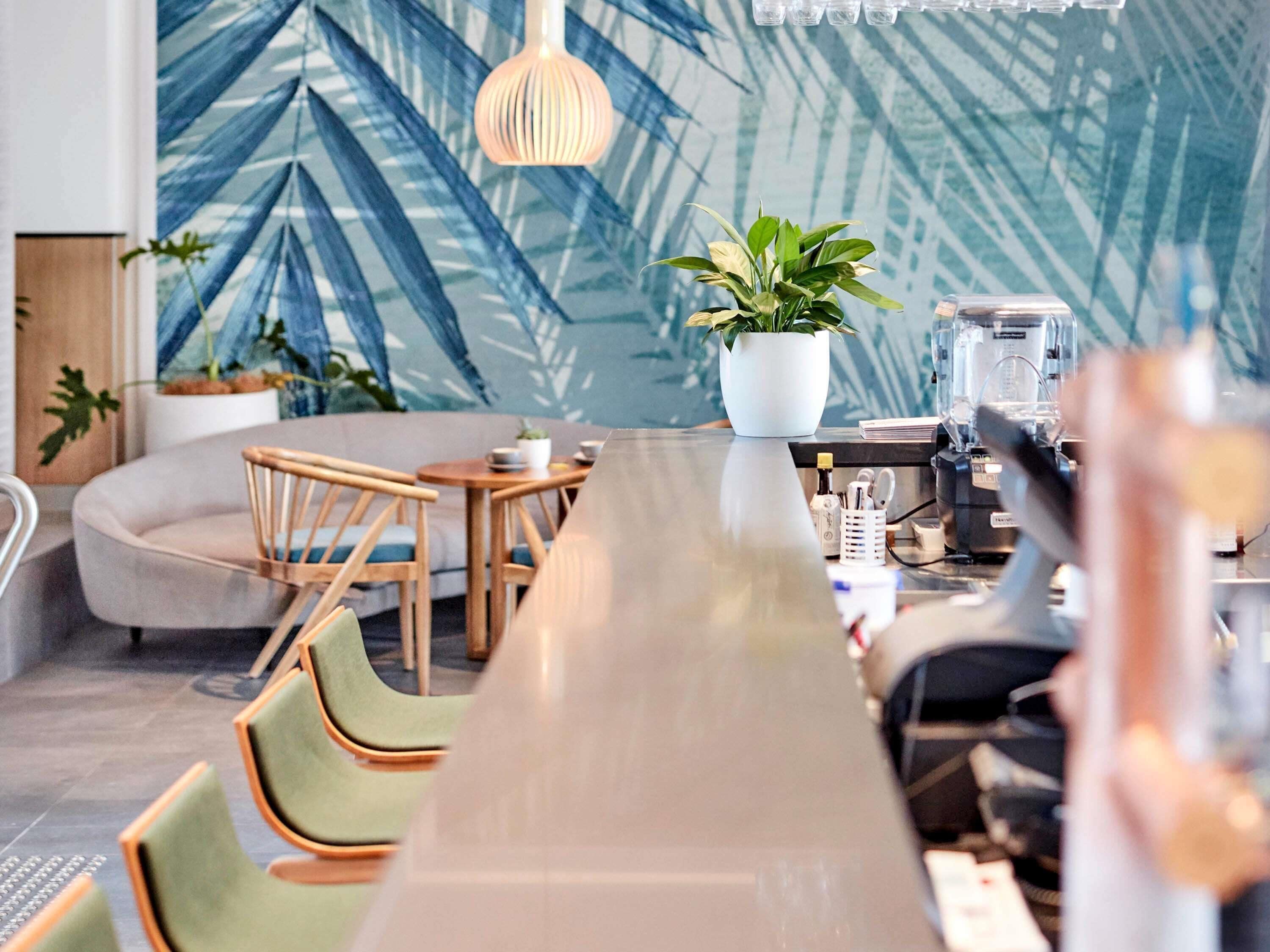 A modern cafe with a long counter, wooden chairs, and a large potted plant.