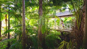 A wooden bridge in a lush, tropical garden with dense foliage and a small pavilion.