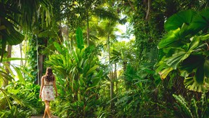 A woman walking on a wooden pathway surrounded by lush greenery. - Cairns Colonial Club Resort (Manunda)