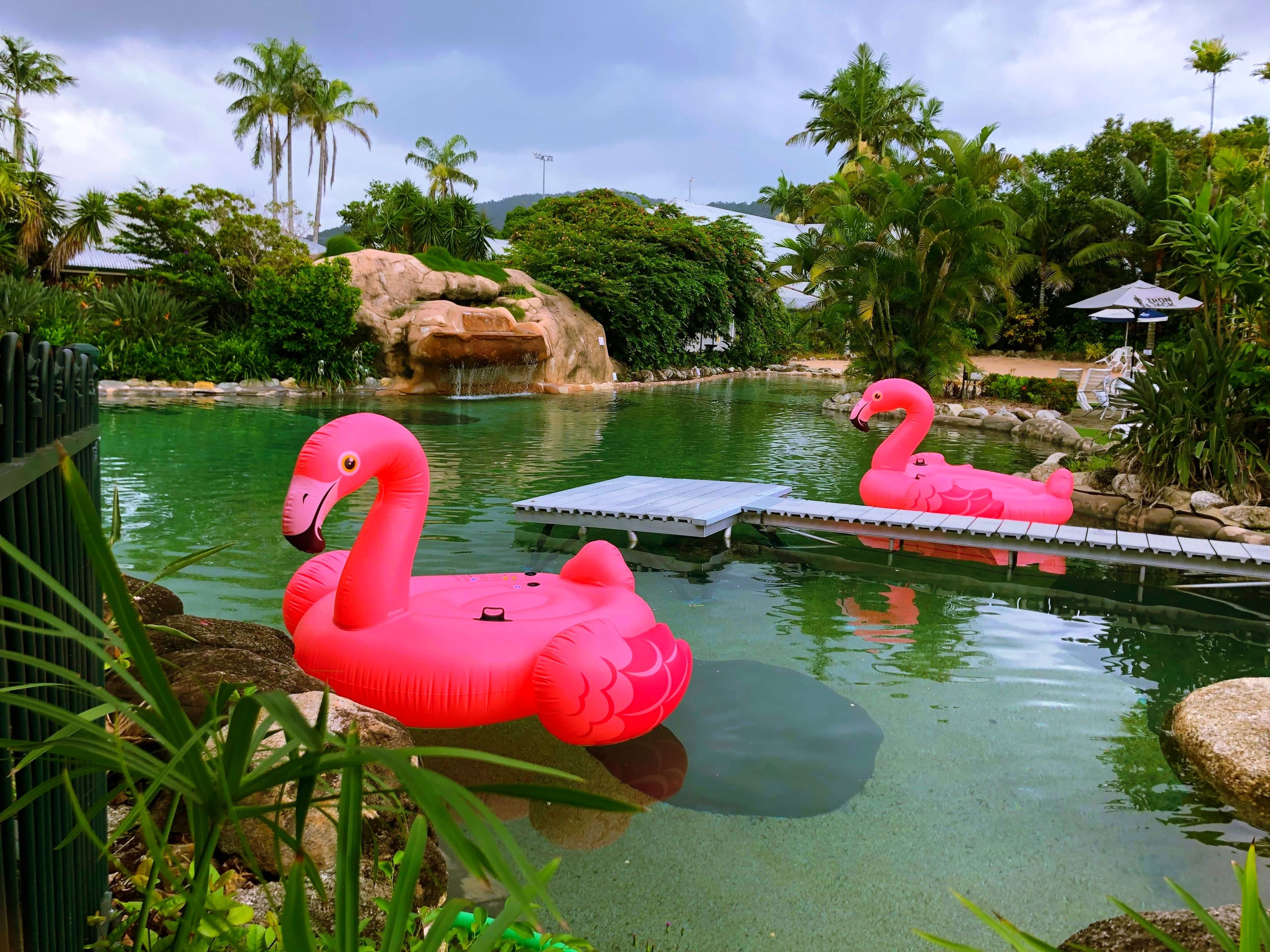A pool with two pink flamingo floats and a rocky landscape with palm trees.