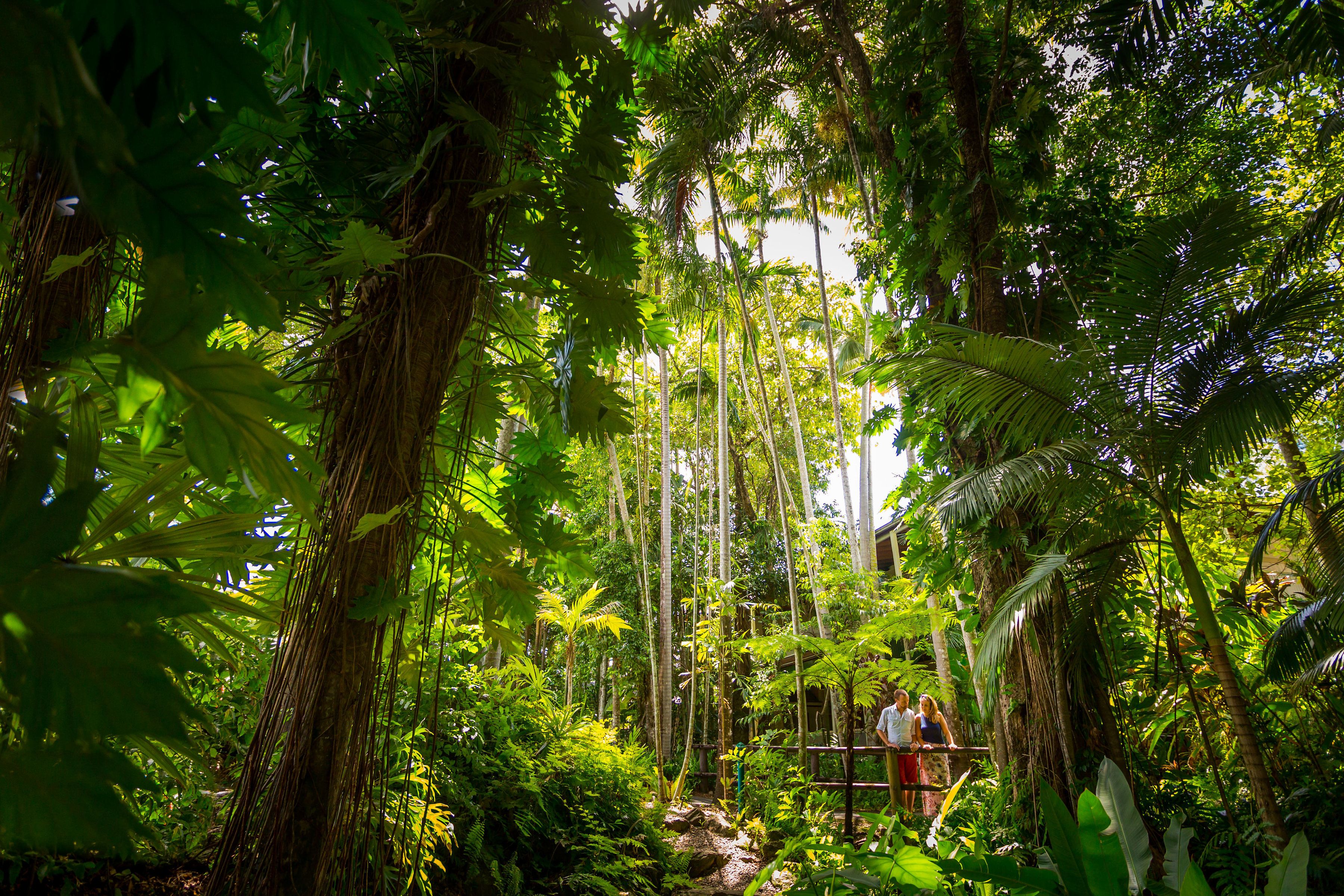 Foto - Cairns Colonial Club Resort