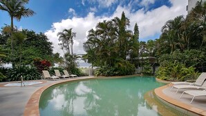 A swimming pool with tiled edges, surrounded by lounge chairs and tropical plants. - 181 The Esplanade (Cairns North)