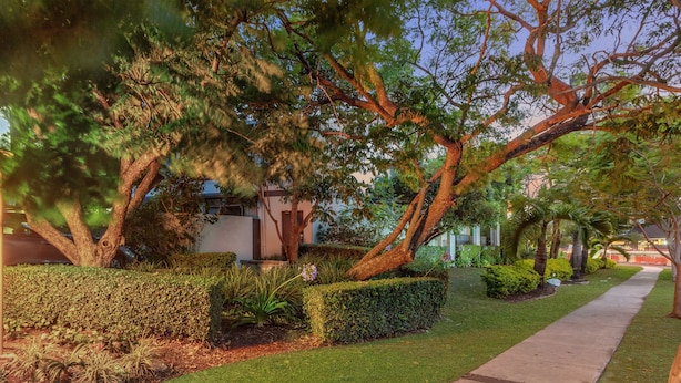 A well-maintained garden with mature trees, neatly trimmed hedges, and a paved walkway.