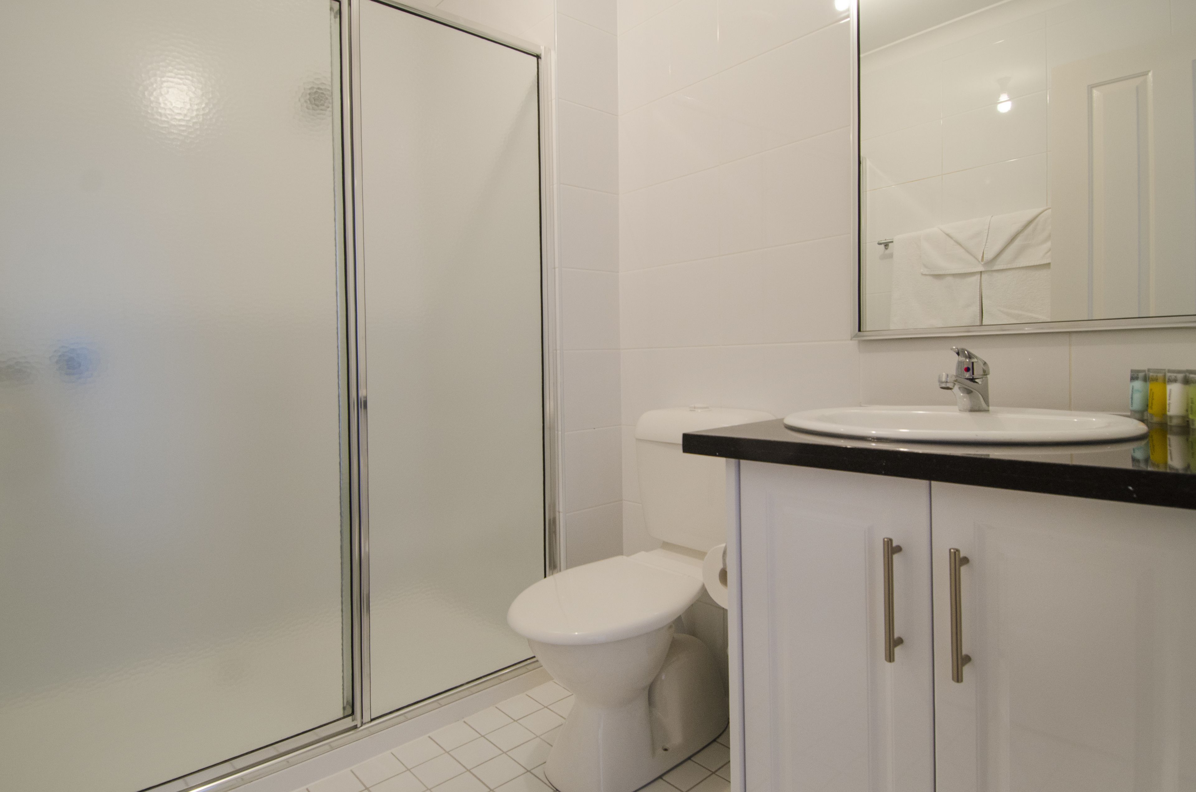 A modern bathroom with a glass-enclosed shower, a white toilet, and a sink with a mirror above it.
