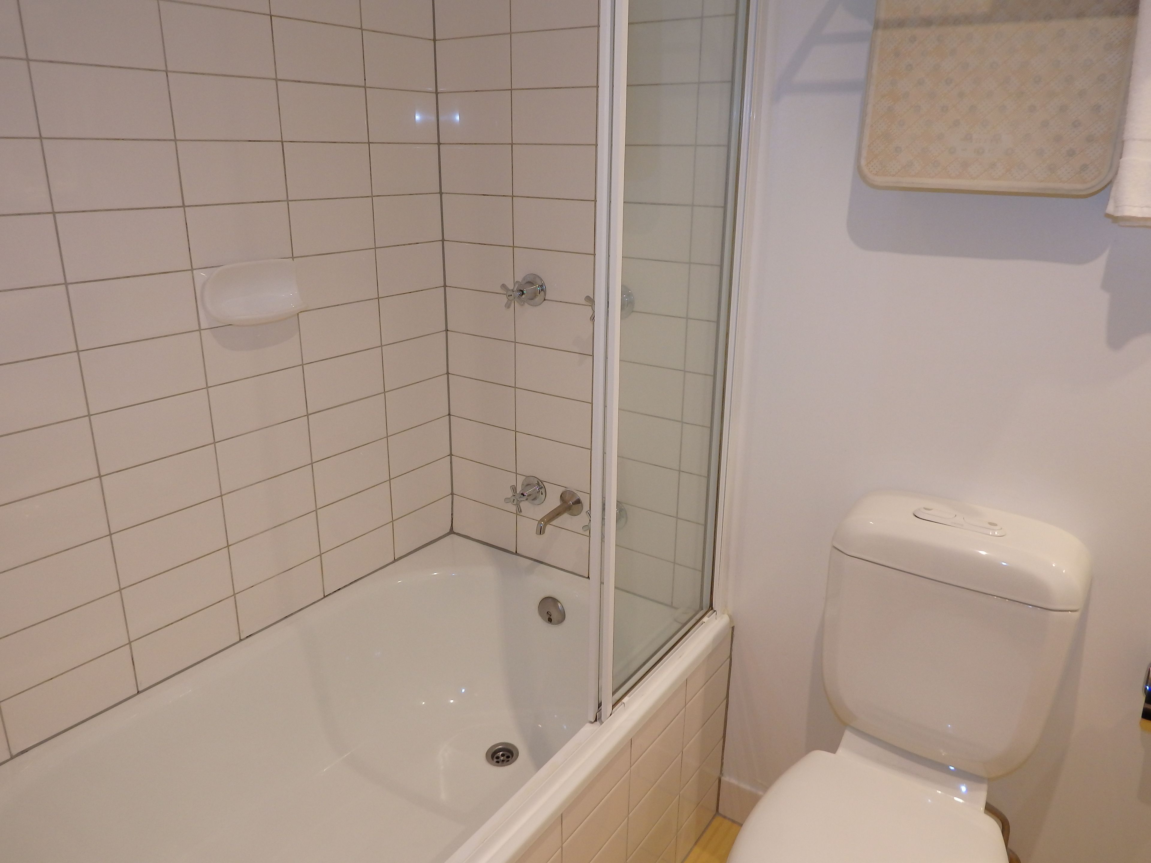 combined shower/bathtub, free toiletries, hair dryer, towels