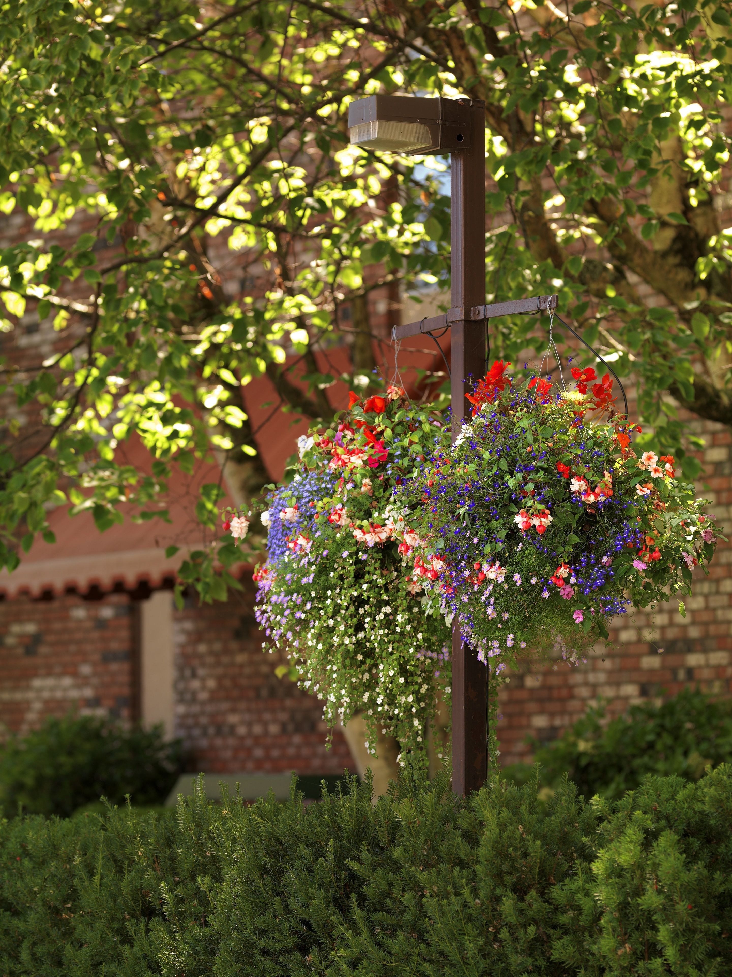 A hanging flower basket attached to a metal pole with a brick wall in the background.