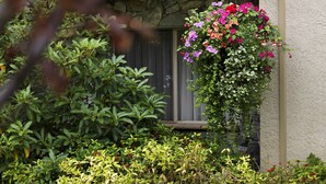 A balcony with a hanging flower basket, a stone wall, and various green plants.