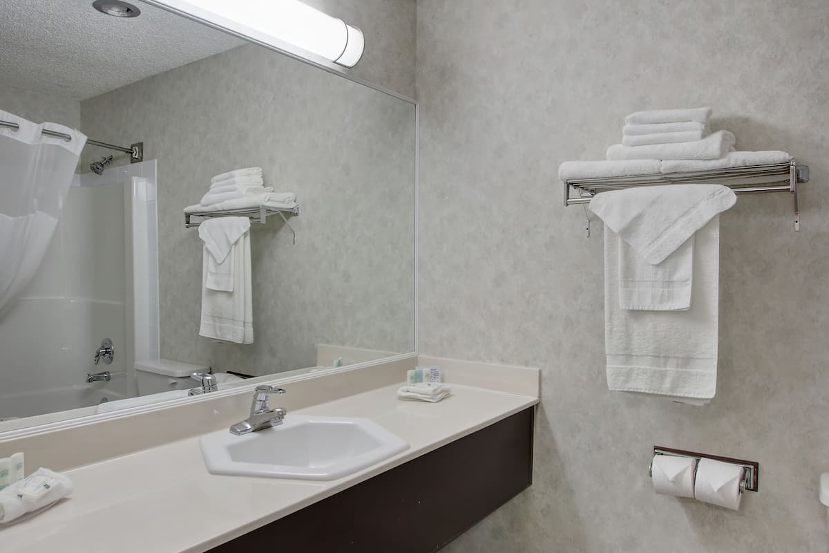 standard room, 2 queen beds, smoking | bathroom amenities | combined shower/bathtub, free toiletries, hair dryer, towels