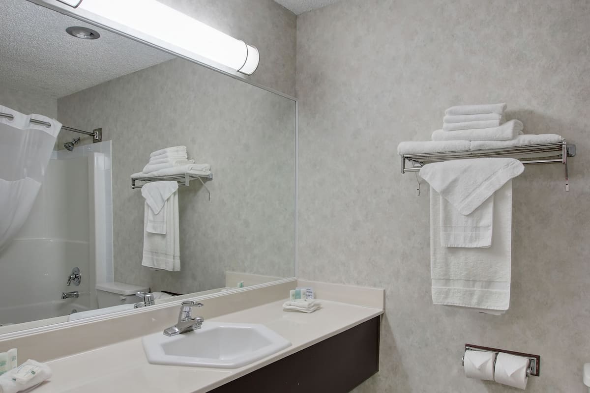 Combined shower/tub, free toiletries, hair dryer, towels