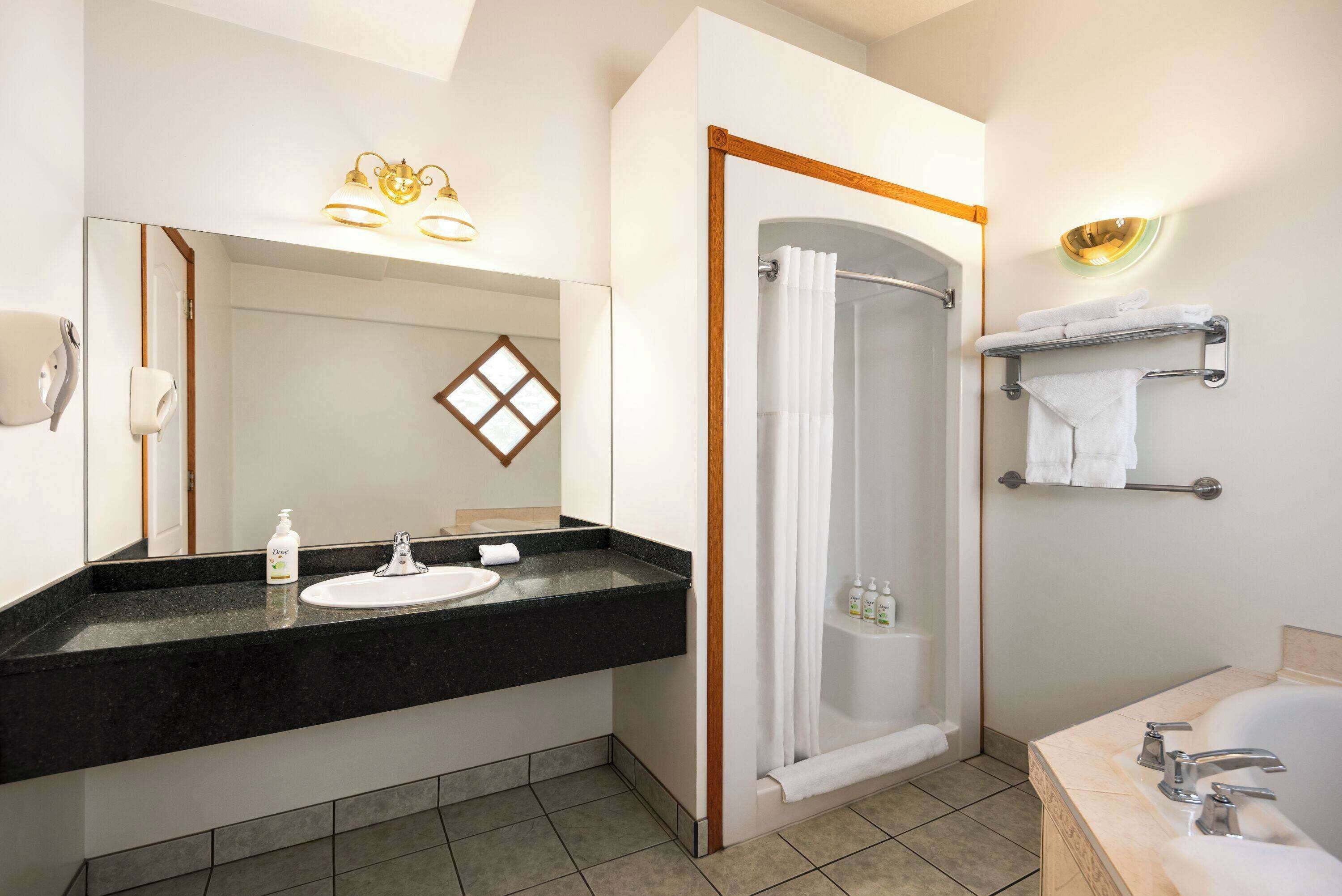 Une salle de bain moderne avec un lavabo sur un plan de toilette noir, un grand miroir, une douche avec une porte en verre et une baignoire.