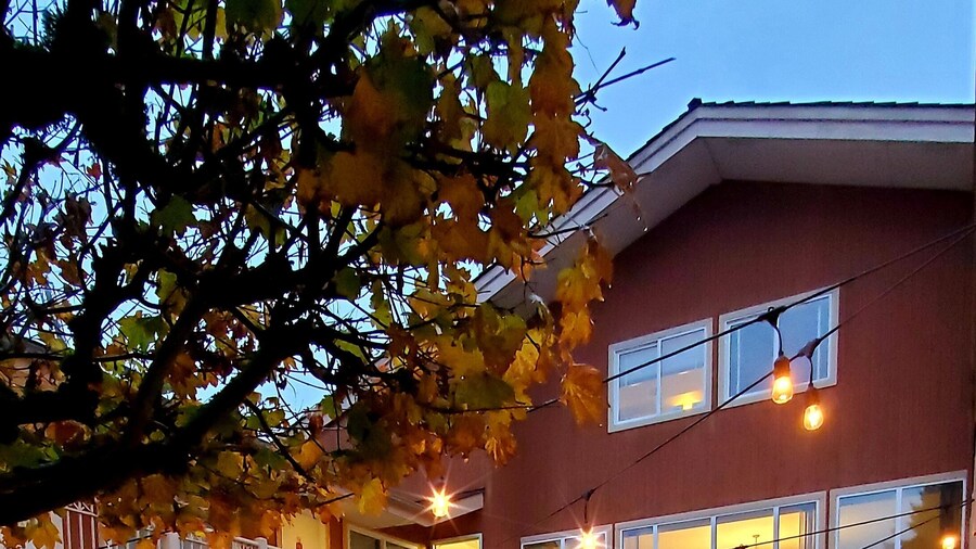 Econo Lodge Inn & Suites