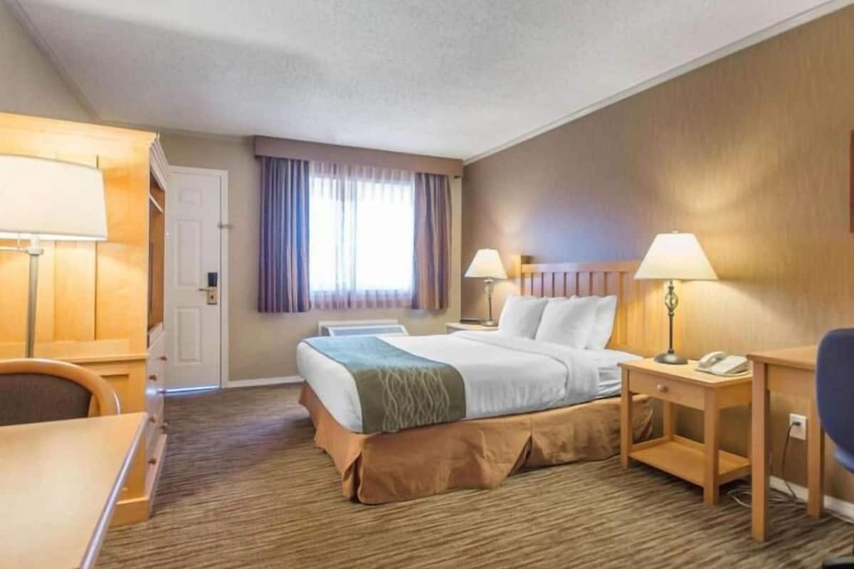 Premium bedding, desk, blackout curtains, iron/ironing board