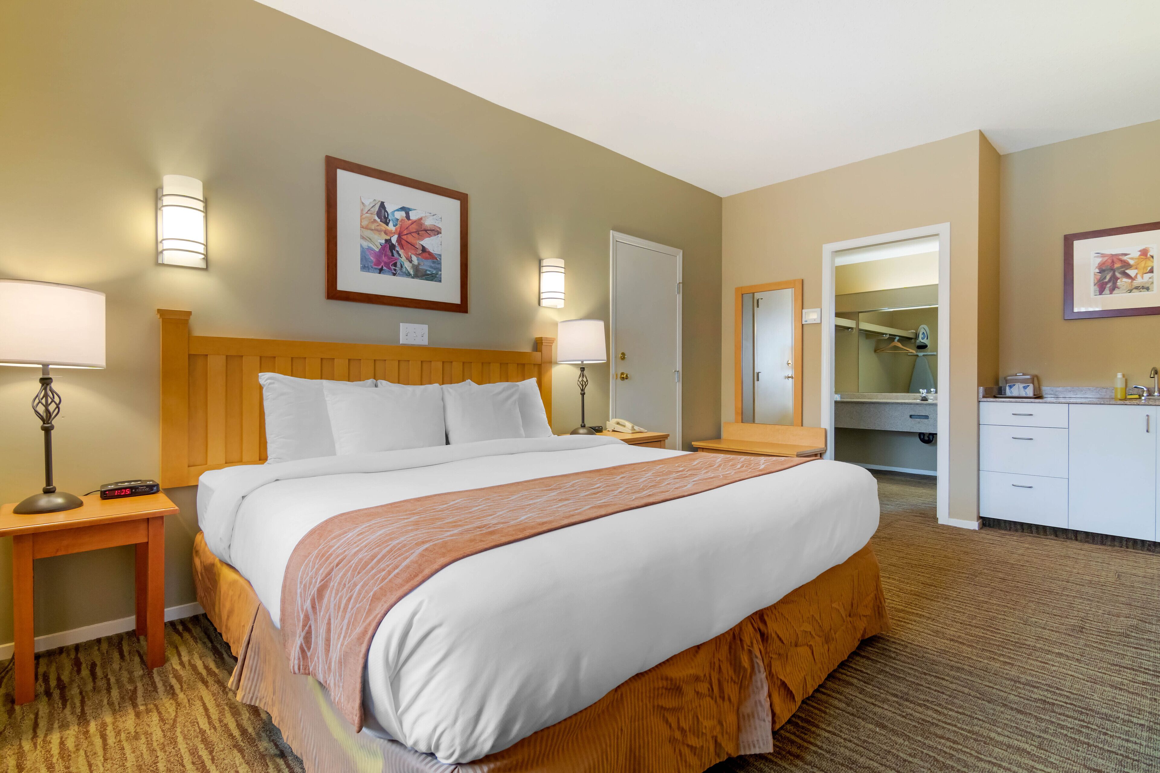 Room, 1 King Bed, Non Smoking (Efficiency)