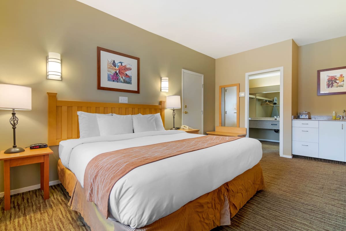 Rum - 1 kingsize-säng - icke-rökare (Efficiency) | Sängtillbehör av högsta kvalitet, skrivbord och mörkläggningsgardiner