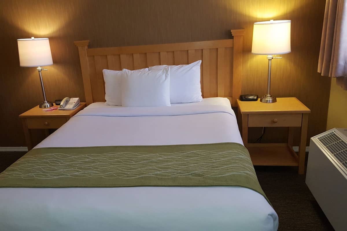 Premium bedding, desk, blackout curtains, iron/ironing board