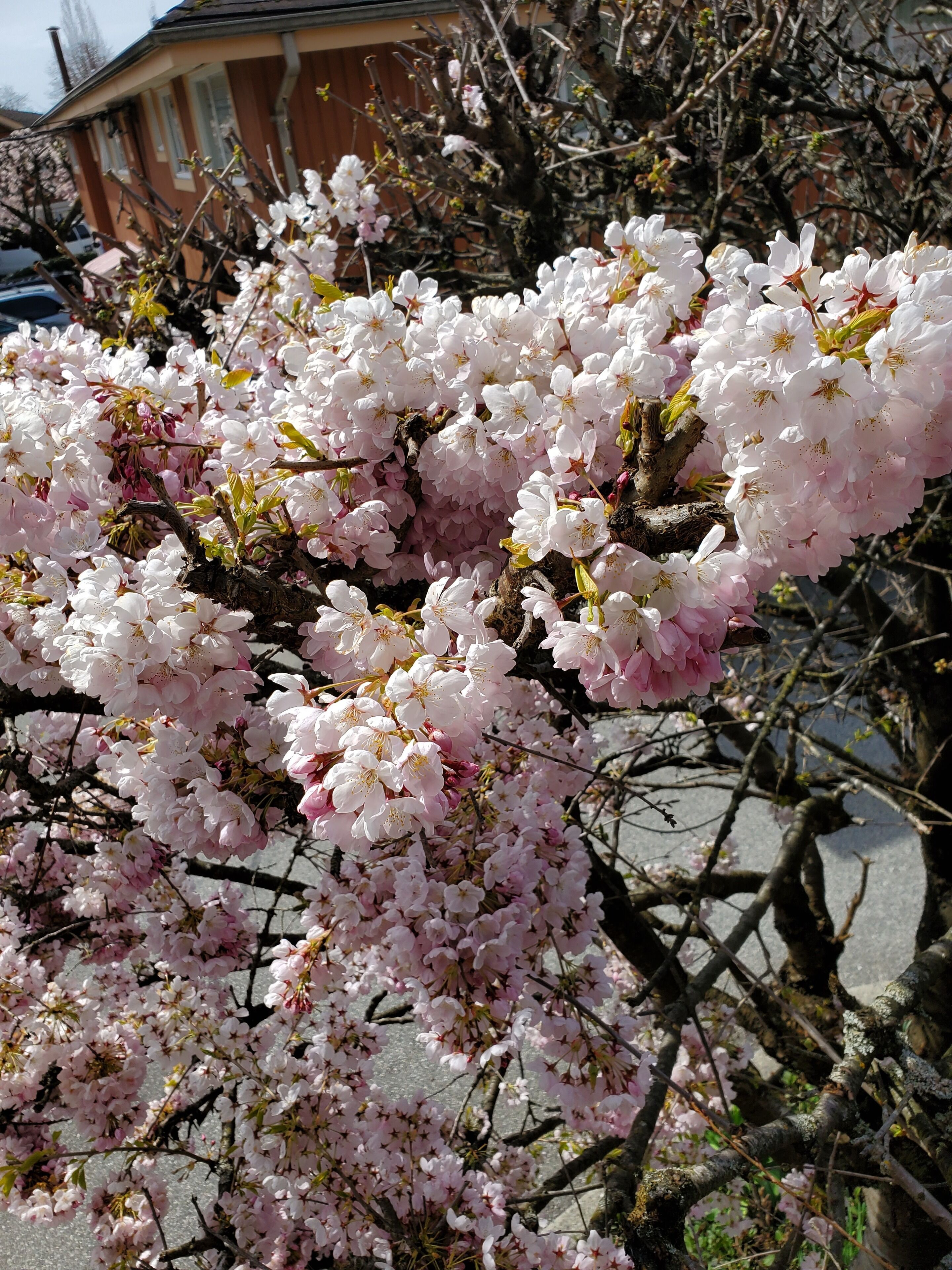 Photo - Econo Lodge Inn & Suites