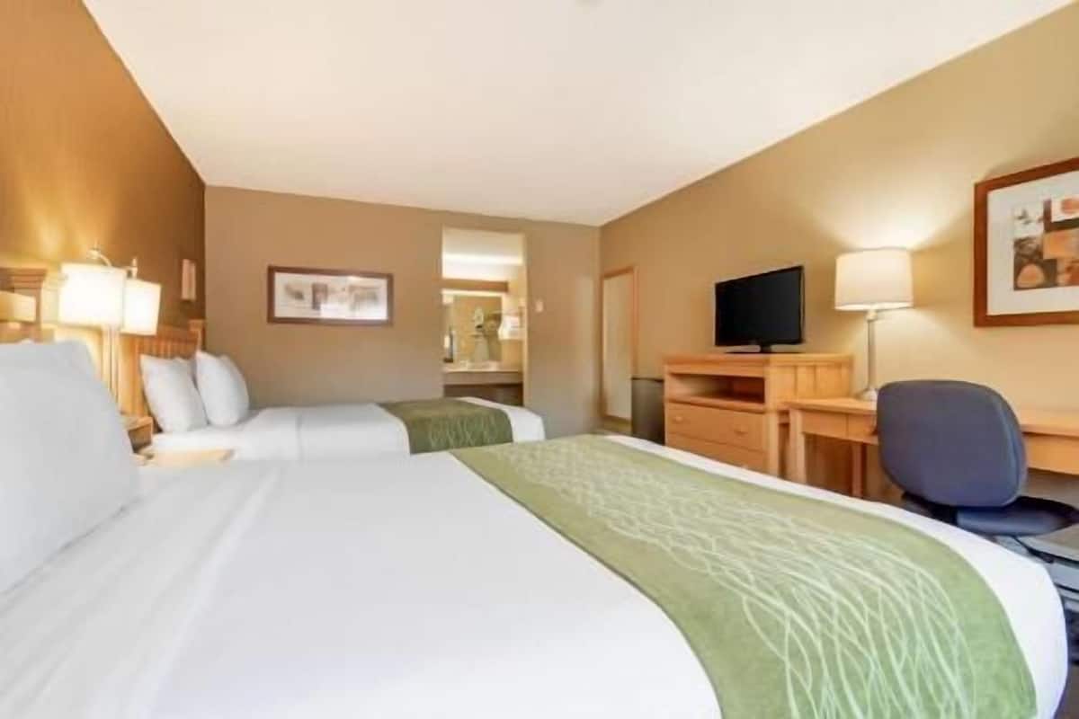 Une chambre d’hôtel avec deux lits, un bureau, une chaise, une télévision et un miroir.