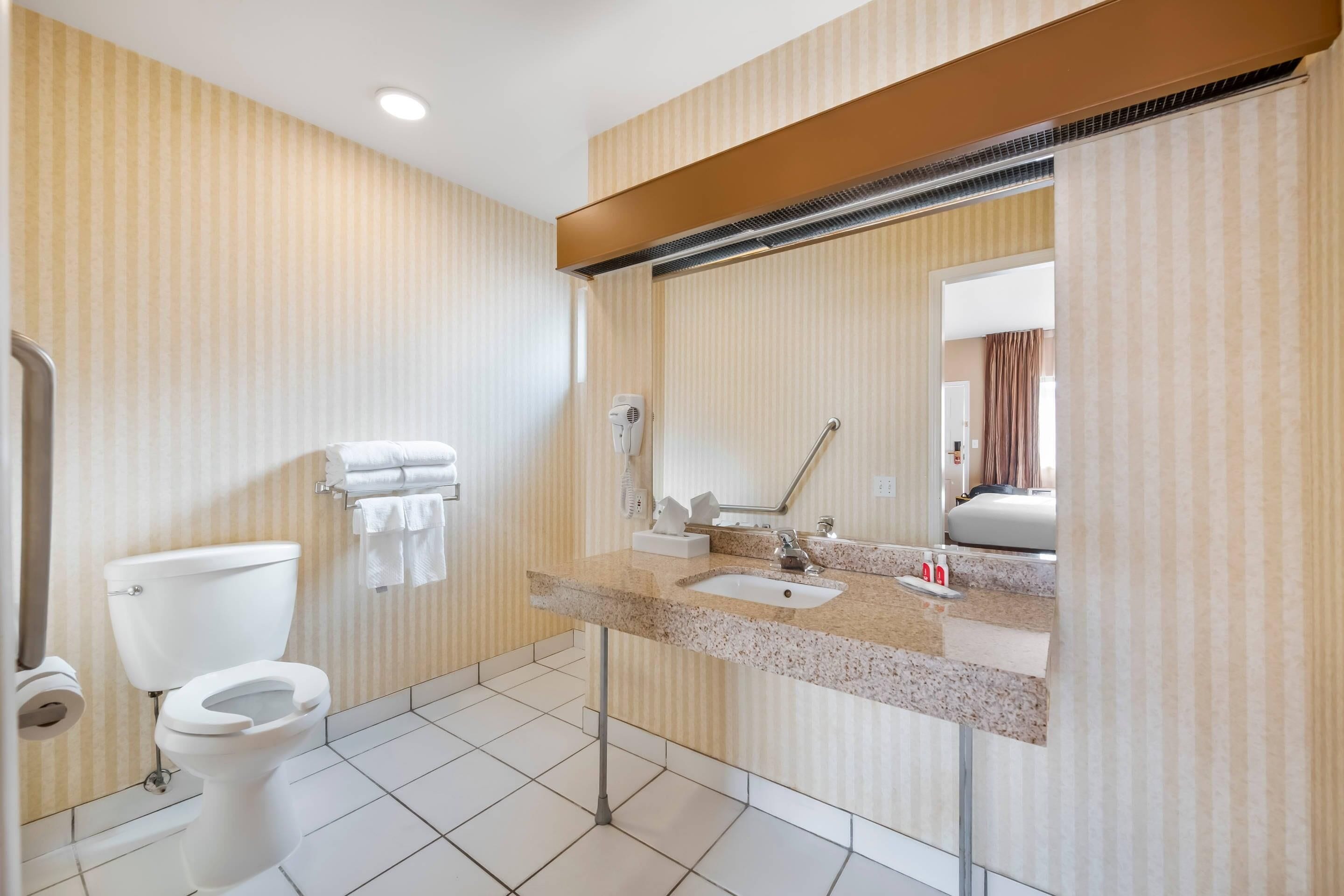 A bathroom with a toilet, sink, and mirror.