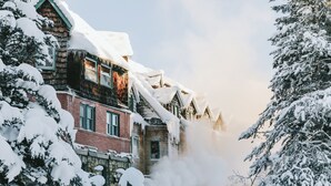 A snow-covered building with a chimney emitting smoke, surrounded by snow-laden trees.