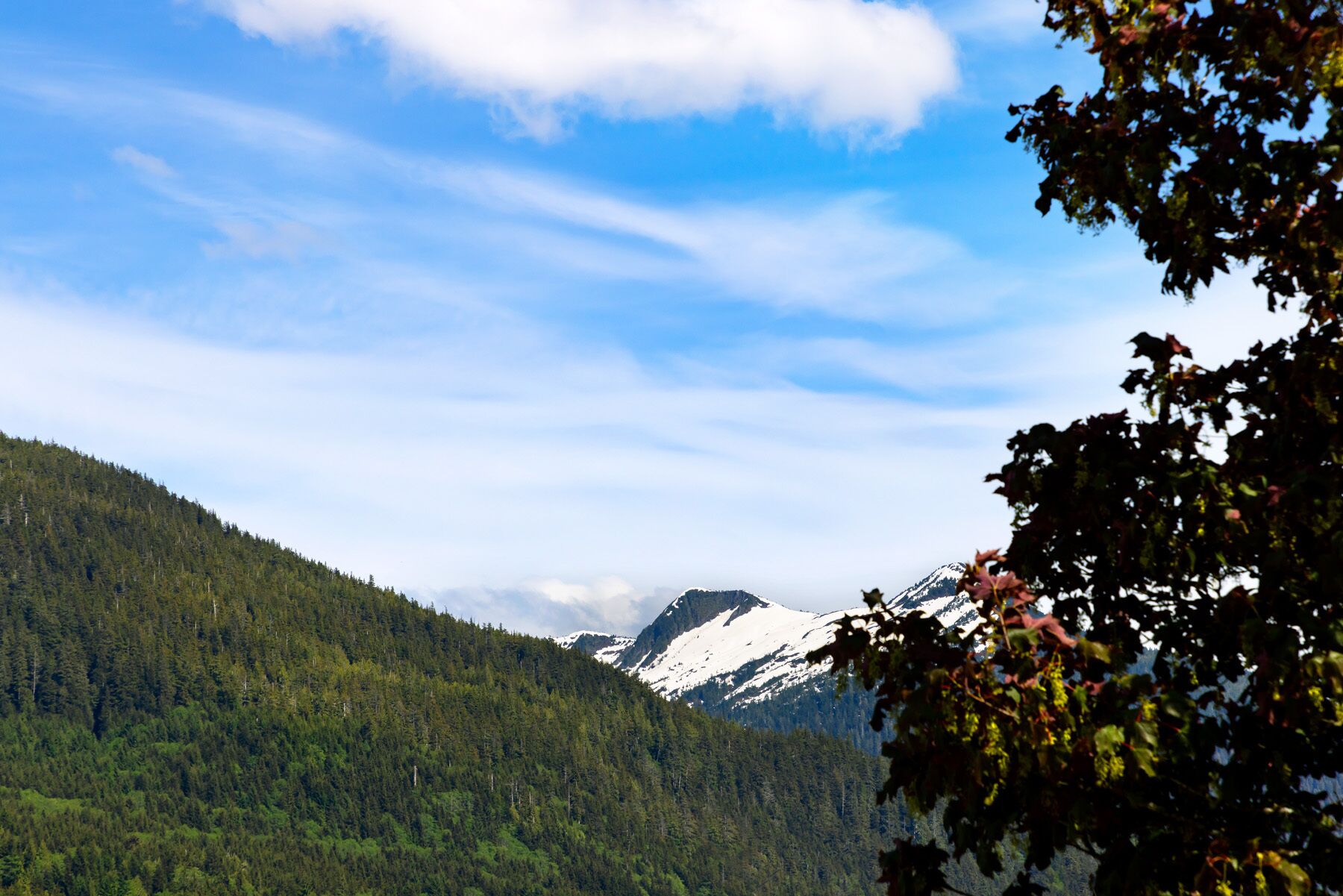 land view from property