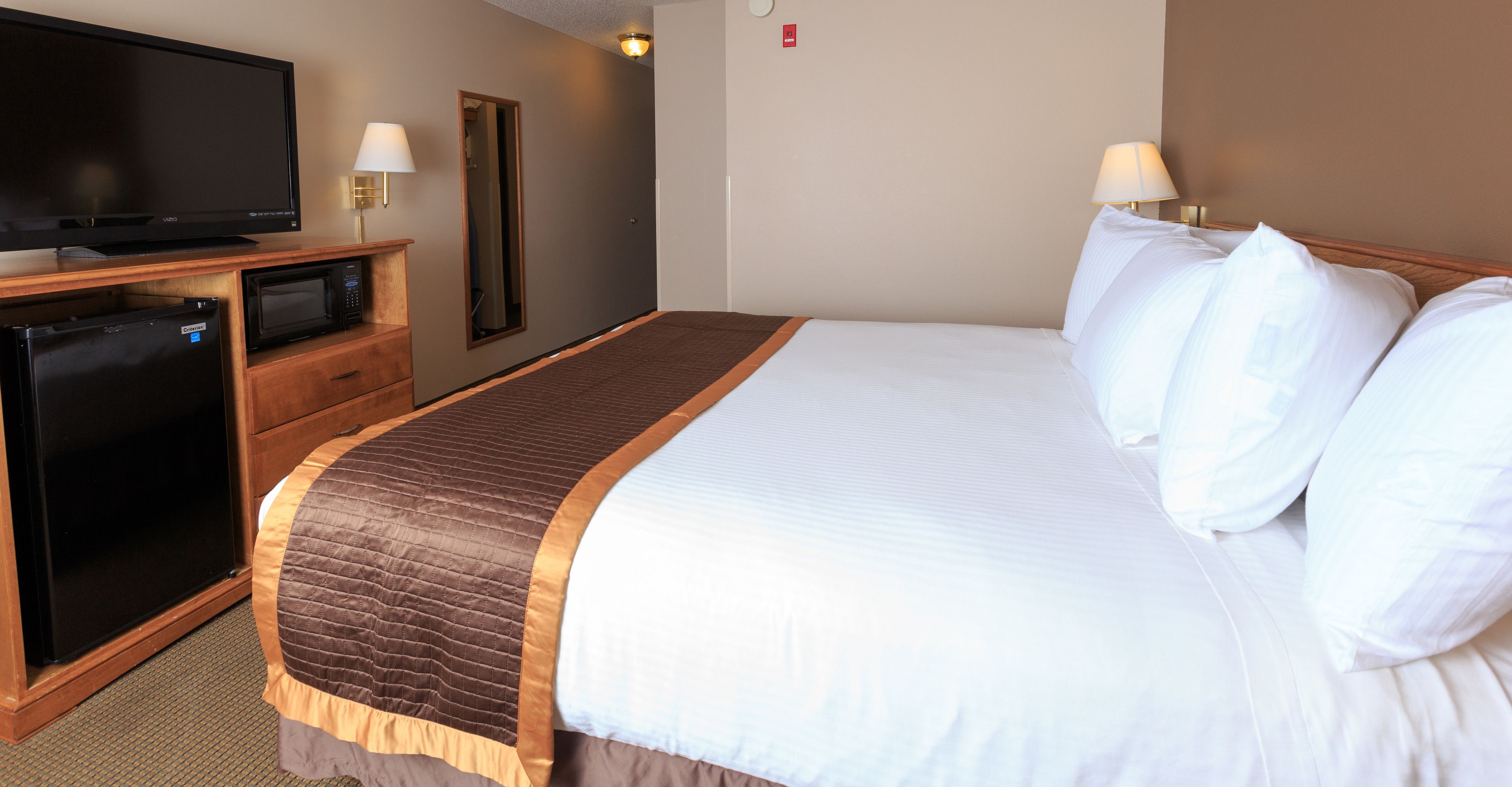 A hotel room with a bed, a television, a microwave, and a refrigerator.