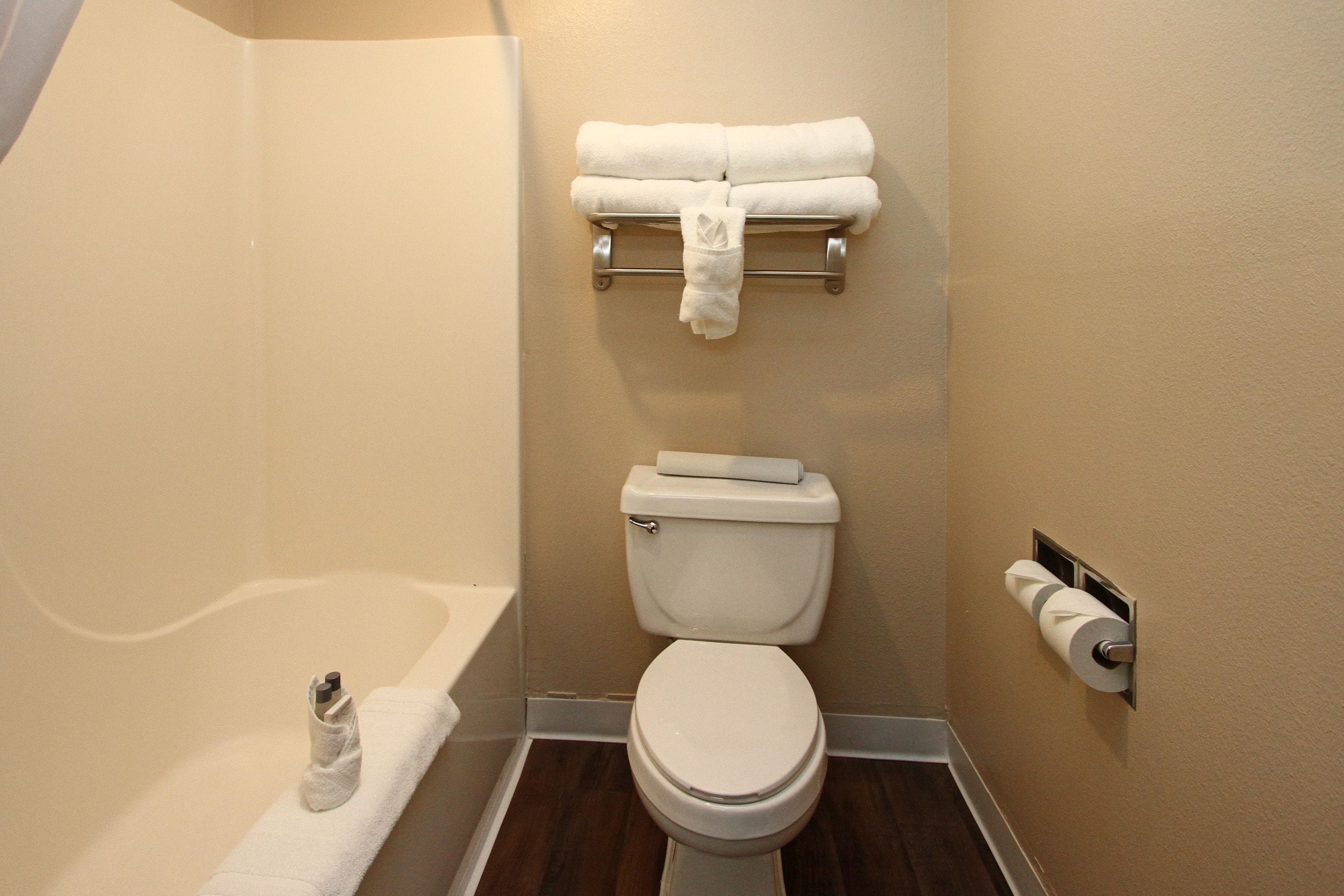 combined shower/bathtub, free toiletries, hair dryer, towels