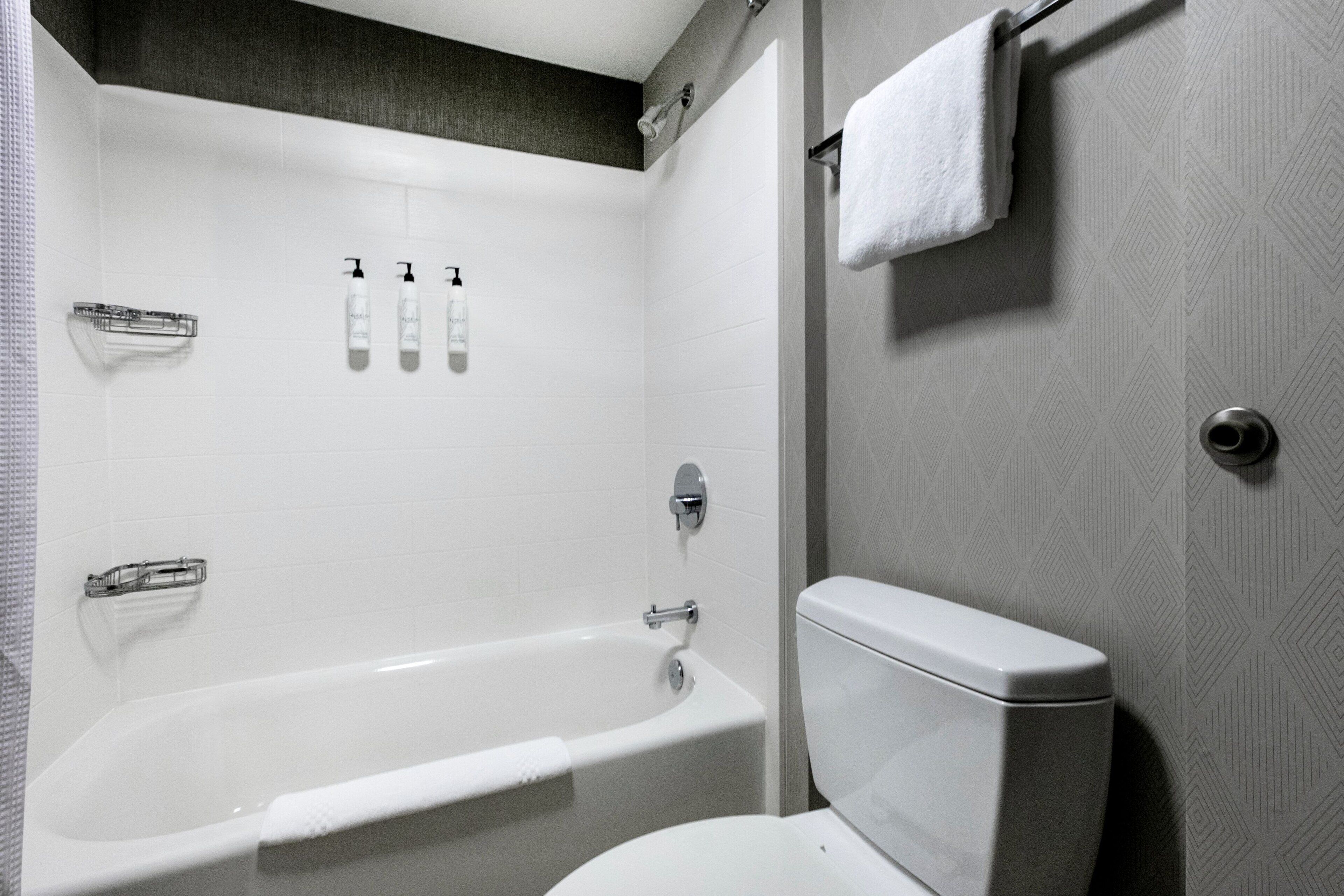 combined shower/bathtub, free toiletries, hair dryer, towels