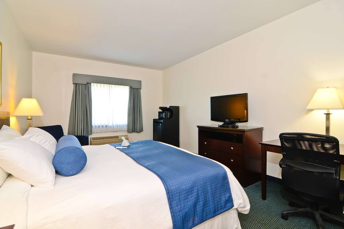 A hotel room with a bed, a desk, a chair, a television, and a window with curtains.