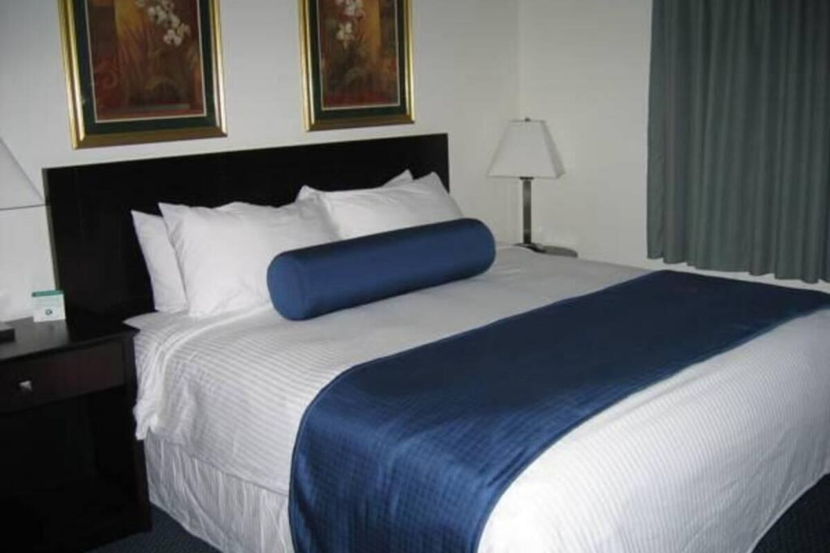 Bureau, fer et planche Ă repasser, accĂšs au Wi-Fi (inclus)