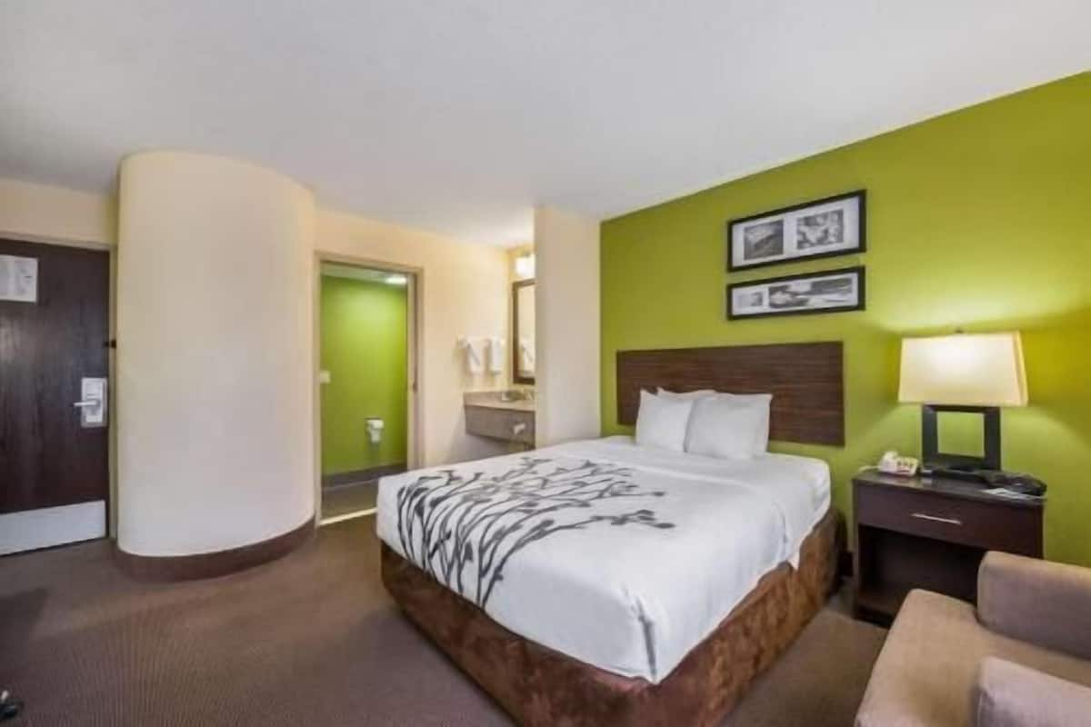 Ein Hotelzimmer mit einem Bett, einem Nachttisch, einem Sessel, einem Schreibtisch und einer grünen Wand.
